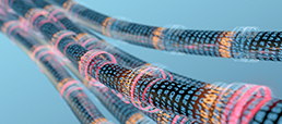 Quantum key distribution