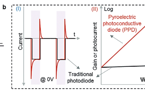 New high sensitivity photodetector