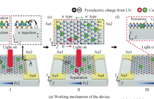 Thin film lithium niobate (LN) photodetector
