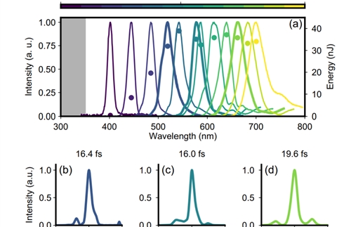 Sub-20 femtosecond visible light tunable pulsed laser source